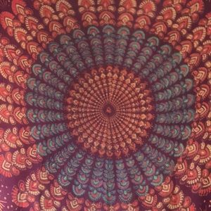 Meet your Posher, Kasey